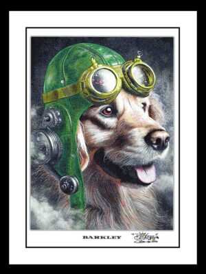 No 91 Barkley