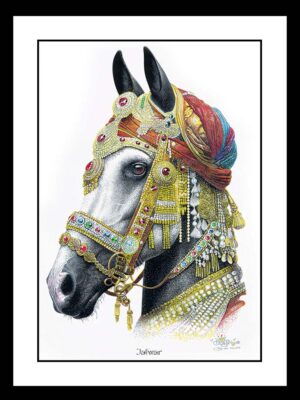 148 Jalwar